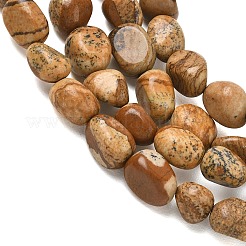 Natural Picture Jasper Beads Strands&nbsp;G-C286-A07