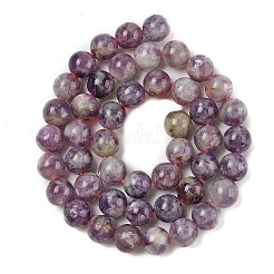 Natural Lepidolite/Purple Mica Stone Beads Strands&nbsp;G-B133-A01-10MM