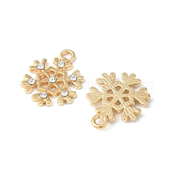Alloy Pendants&nbsp;ALRI-YW0001-12
