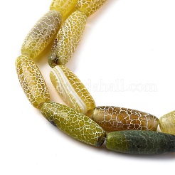Natural Weathered Agate Beads Strands&nbsp;G-P570-C04-01