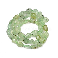Natural Prehnite Beads Strands&nbsp;G-R445-8x10-25-01