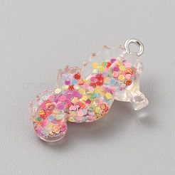 Resin Pendants&nbsp;RESI-TAC0007-29P-03