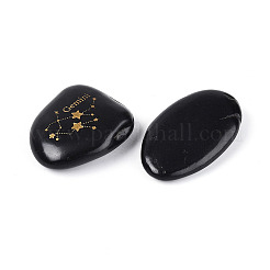 12Pcs Constellations Natural Black Stone Mineral Specimen&nbsp;G-N360-01