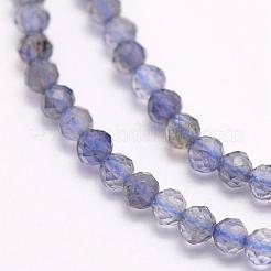 Natural Cordierite/Iolite/Dichroite Beads Strands&nbsp;G-F509-15-3mm