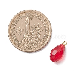 Glass Charms&nbsp;PALLOY-JF04780