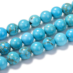 Natural Magnesite Beads Strands&nbsp;G-TAC0001-03B