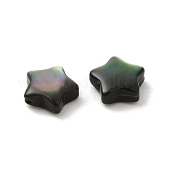 Natural Black Lip Shell Beads&nbsp;SHEL-M019-05