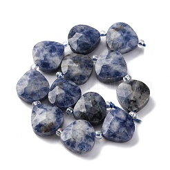 Natural Blue Spot Jasper Beads Strands&nbsp;G-P570-E19-02