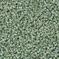 MIYUKI Delica Beads&nbsp;SEED-X0054-DB0413