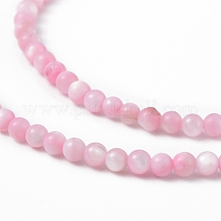 125Pcs Natural Freshwater Shell Beads&nbsp;SHEL-B002-01B