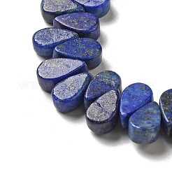 Natural Lapis Lazuli Dyed Beads Strands&nbsp;G-B064-B20