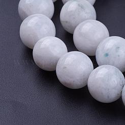 Natural Rainbow Moonstone Bead Strands&nbsp;G-G970-37-12mm