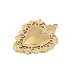 304 Stainless Steel Pendants&nbsp;STAS-D366-05C-G