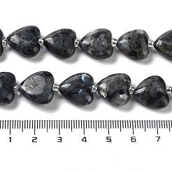 Natural Larvikite Beads Strands&nbsp;G-E614-A24-01
