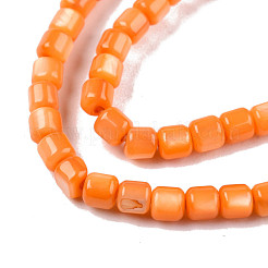 Natural Freshwater Shell Beads Strands&nbsp;SHEL-N003-33-A07