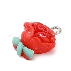 Opaque Resin Pendants&nbsp;RESI-A047-04B