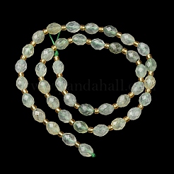 Natural Prehnite Beads Strands&nbsp;G-F809-A06-01