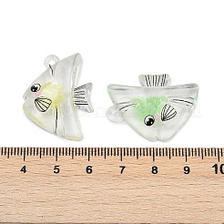 Transparent Luminous Acrylic Pendants&nbsp;TACR-Z002-01