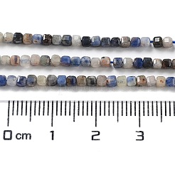 Natural Sodalite Beads Strands&nbsp;G-J400-A06-01
