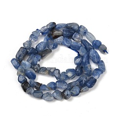 Natural Kyanite Beads Strands&nbsp;G-Q060-D17