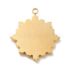 Ion Plating(IP) 304 Stainless Steel Pendants&nbsp;LS-STAS-A066-21G