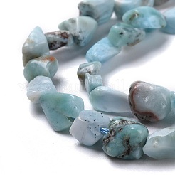 Natural Larimar Beads Strands&nbsp;G-K203-91