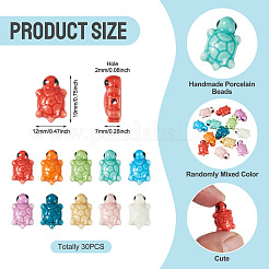 30Pcs Handmade Porcelain Beads&nbsp;PORC-TA0001-73A