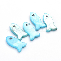 Natural Cowrie Shell Beads&nbsp;X-SHEL-Q008-86