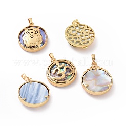 Natural Abalone Shell/Paua Shell Pendants&nbsp;BSHE-I014-G