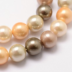 Shell Pearl Bead Strands&nbsp;X-BSHE-L017-12