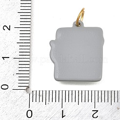 304 Stainless Steel Pendants&nbsp;SA-CBA5D85-01G-04