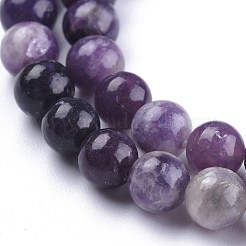 Natural Lepidolite/Purple Mica Stone Beads Strands&nbsp;X-G-K415-8mm
