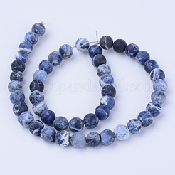 Natural Sodalite Beads Strands&nbsp;X-G-Q462-10mm-07