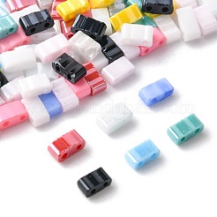 100Pcs 12 Styles 2-Hole Glass Seed Beads&nbsp;SEED-FS0001-43