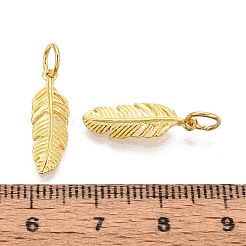 925 Sterling Silver Pendants&nbsp;STER-N016-61G