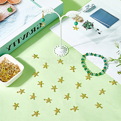 120Pcs Alloy Pendants&nbsp;FIND-SC0016-21
