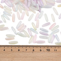 Electroplate Glass Beads&nbsp;EGLA-K064-04