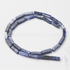 Natural Sodalite Beads Strands&nbsp;X-G-G968-D02