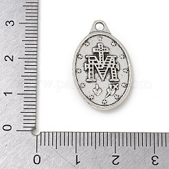 Alloy Pendants&nbsp;FIND-E051-01AS-05