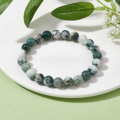 Natural Tree Agate Round Bead Stretch Bracelets for Women&nbsp;BJEW-JB09871