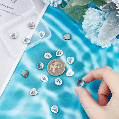 16Pcs 2 Styles Natural Black Lip Shell Charms&nbsp;SHEL-BC0001-021