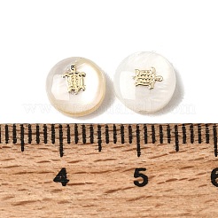 Natural Freshwater Shell Flat Round Beads&nbsp;SHEL-C009-01A