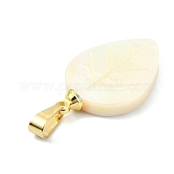 Natural Freshwater Shell Carved Pendants&nbsp;PALLOY-JF05288-01