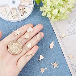 304 Stainless Steel Charms&nbsp;STAS-AR0001-07RG
