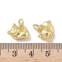 Brass Pendants&nbsp;KK-P325-15G