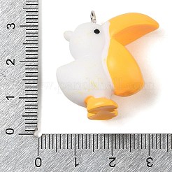 Opaque Resin Pendants&nbsp;RESI-S399-01