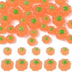 15Pcs Resin Cabochons&nbsp;RESI-YW0005-55