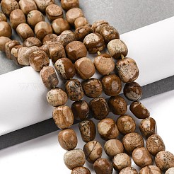 Natural Picture Jasper Beads Strands&nbsp;G-G146-A01-02