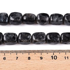 Natural Larvikite Beads Strands&nbsp;G-T138-106