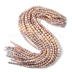 Natural Cultured Freshwater Pearl Beads Strands&nbsp;PEAR-C004-16